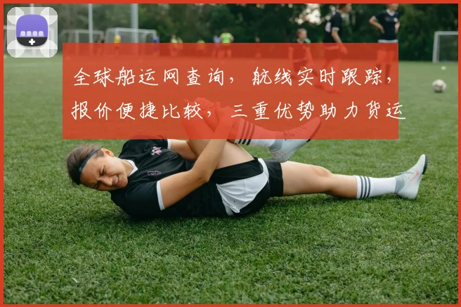 全球船运网查询，航线实时跟踪，报价便捷比较，三重优势助力货运高效管理，一站搞定。