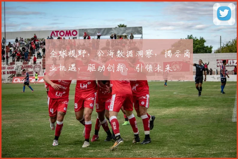 全球视野，公海数据洞察，揭示商业机遇，驱动创新，引领未来。